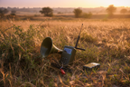 Bird Caller Field Shot