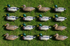 Duck Decoy Grid