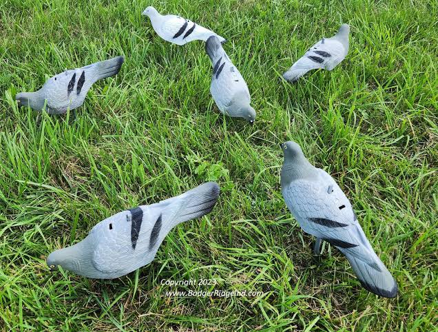 Pigeon Decoys – Set of 12