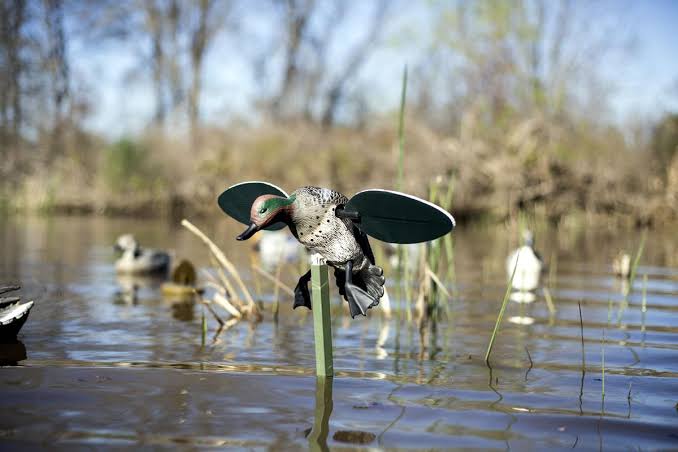 Mojo Outdoor Spinning Wing Duck Decoy – Teal Motion Decoy