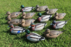 Mixed Decoy Collection