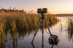 Outdoor Wetland Scene