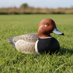 Redhead Decoy