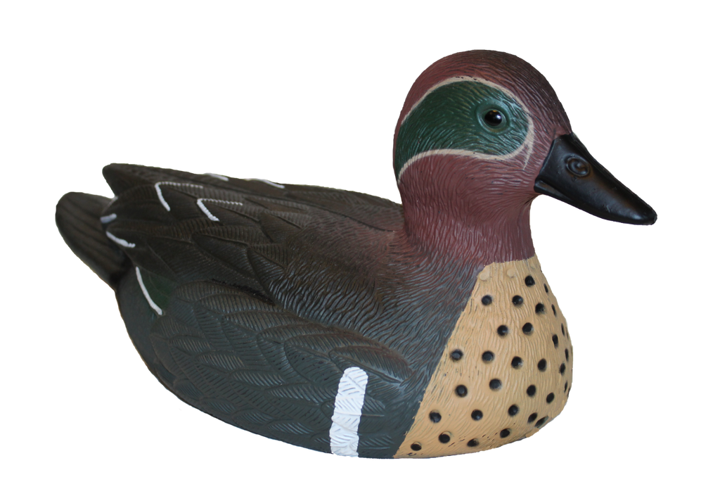 Green-Winged Teal Duck Decoys 12 Pcs