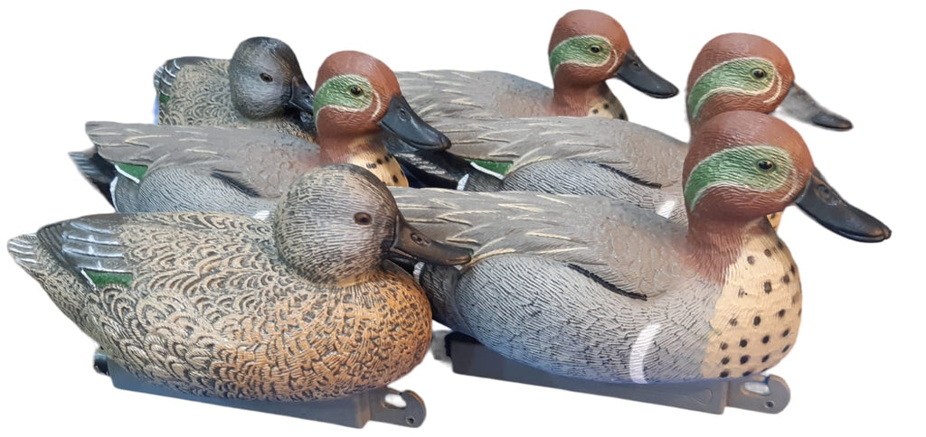 Green-Winged Teal Duck Decoys 12 Pcs